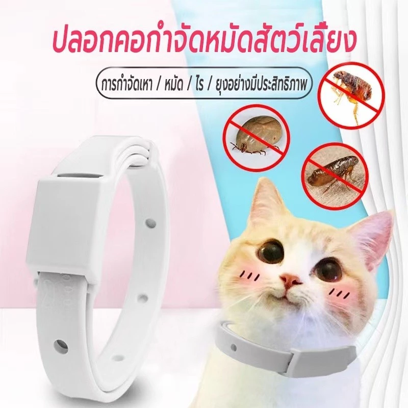 ปลอกคอกันเห็บหมัด
